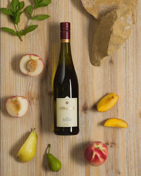 Wilhelmshof Riesling Buntsandstein trocken 2020
