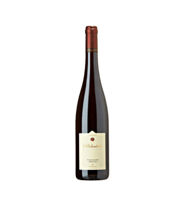 Rotwein Ambition vom Bio Weingut Wilhelmshof