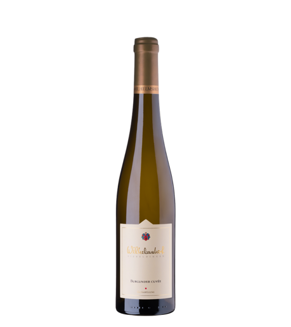 Burgunder Cuvée STARENEINFALL trocken 2024