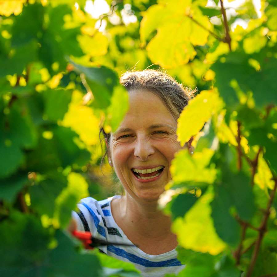 virtuelle Weinbergwanderung Barbara Roth Weingut Wilhelmshof