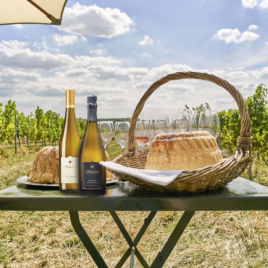 Picknick im Weinberg Weingut Wilhelmshof