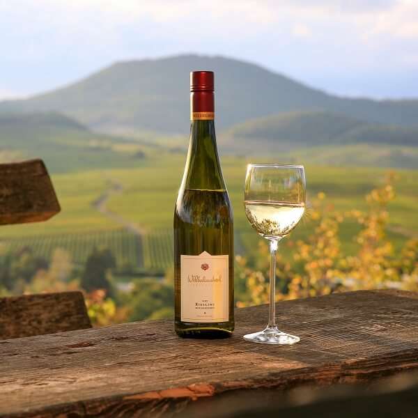 Picknick Im Weinberg Weinbergwanderung Weingut Wilhelmshof Siebeldingen Pfalz