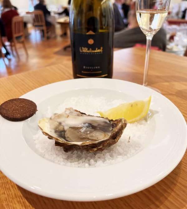 Sekt und Austern Verkostung im Weingut Wilhelmshof in Siebeldingen, Pfalz