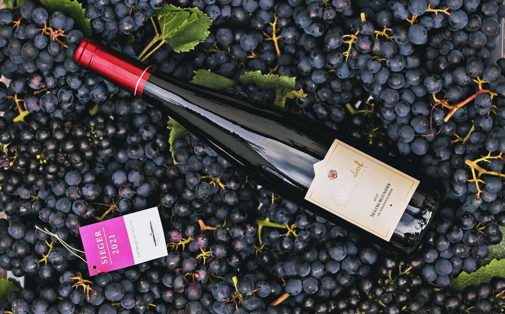 Siegerweine Bester Spätburgunder Pfalz