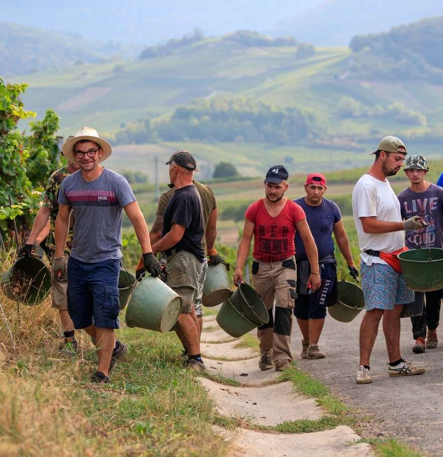 Das Team - Weingut Wilhelmshof