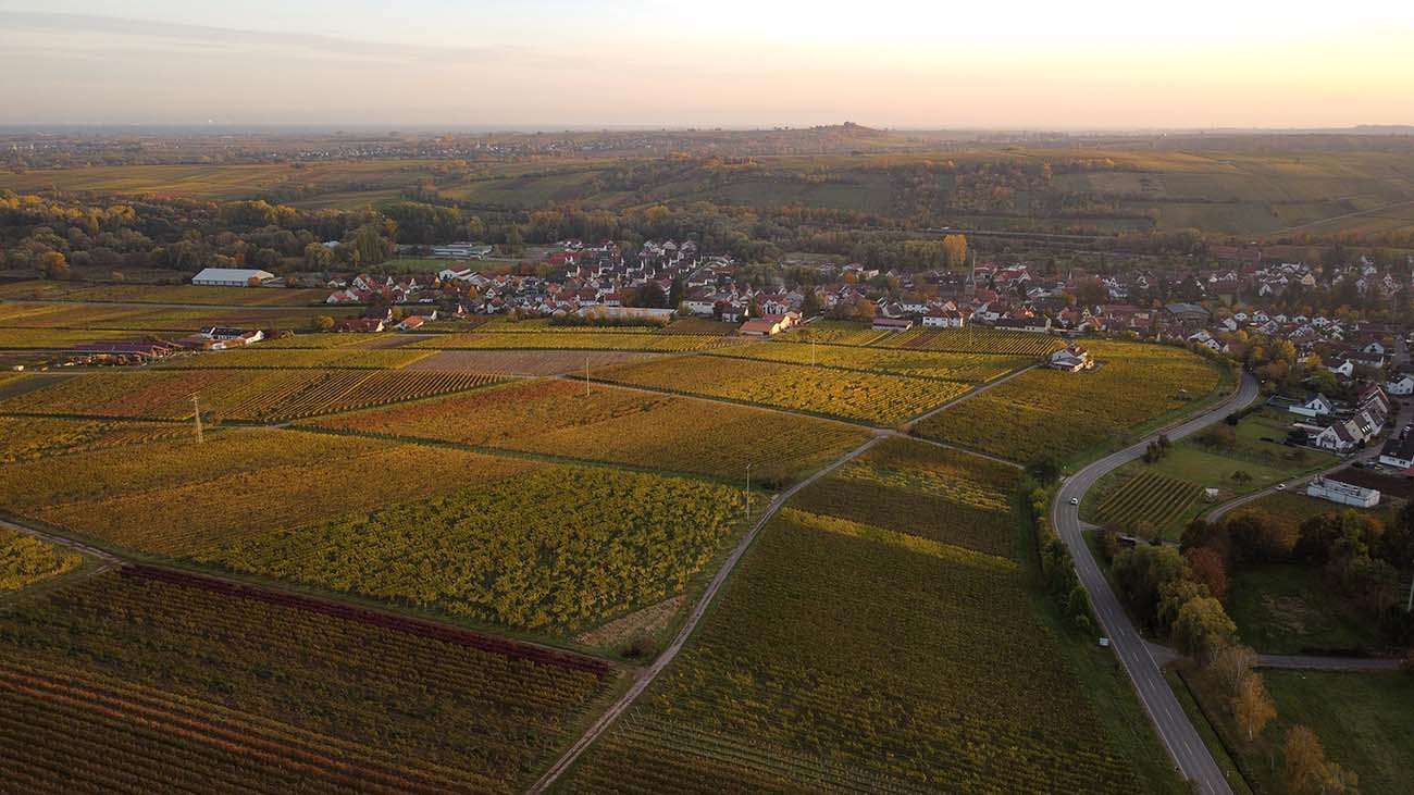 Lage Im Sonnenschein Siebeldingen