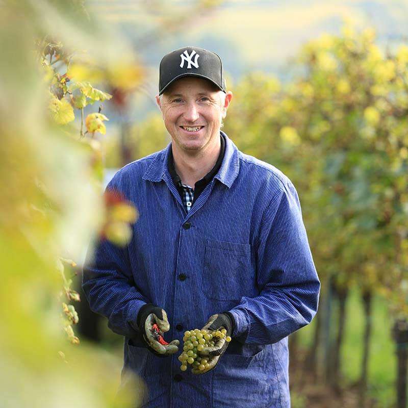 Oenologe Thorsten Ochocki im Weinberg