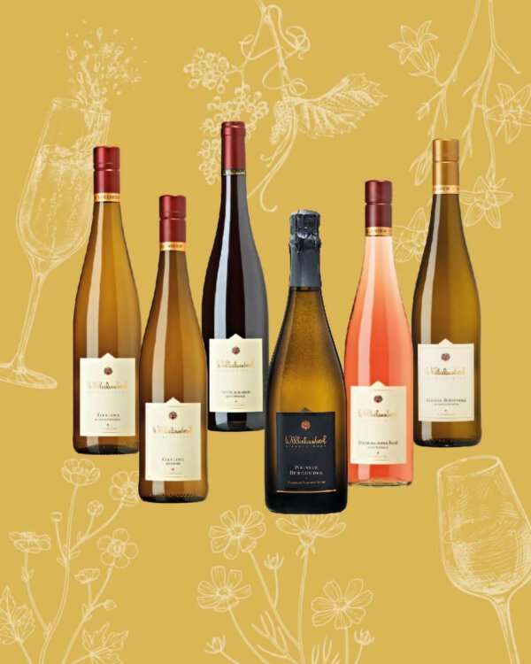 Frühlingspaket Weingut Wilhelmshof