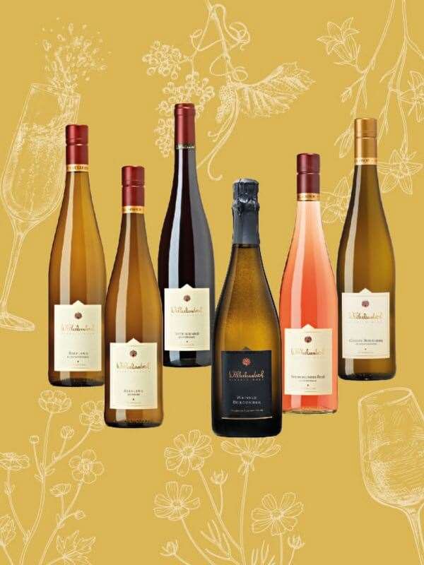 Frühlingspaket Weingut Wilhelmshof