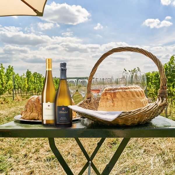 Weinbergwanderung im Wilhelmshof Siebeldingen Pfalz