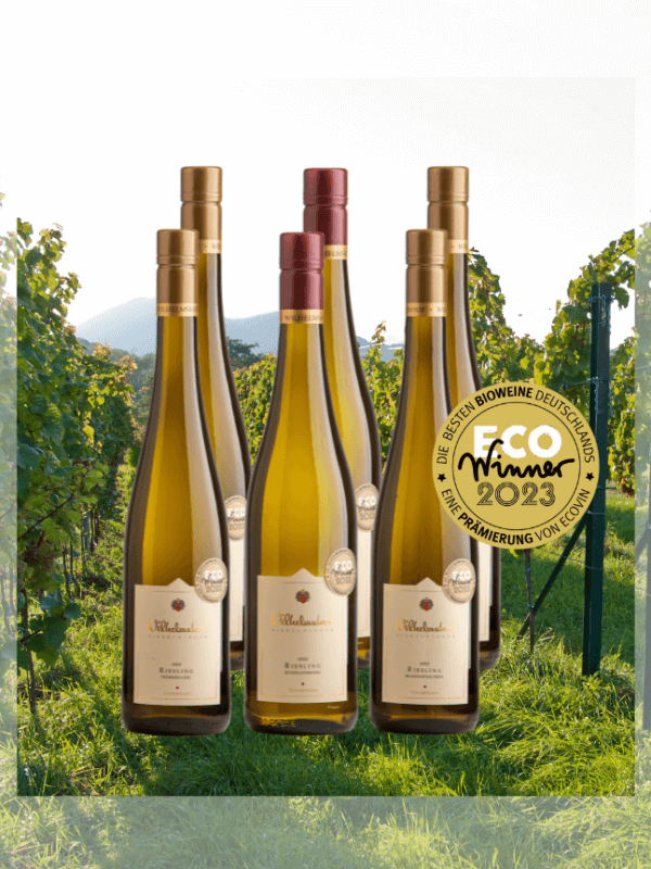 Sommer Riesling Paket Eco Winner