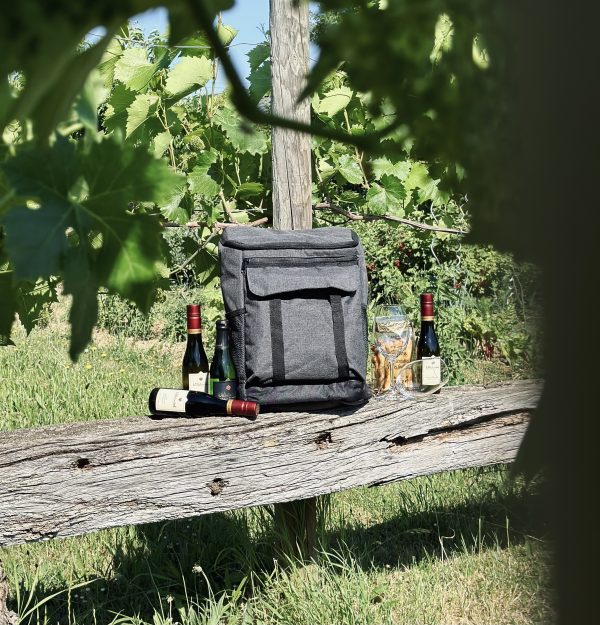 Erlebnistour Weinwanderung 2.0