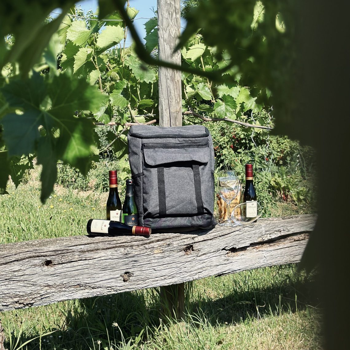 Weinrucksack-gefüllt-Picknick-im-Grünen-Weinbergwanderung-per-App-Weißburgunder-Sekt -Bio-Weingut-Sektgut-Wilhelmshof-Roth-Ochocki-Siebeldingen-Pfalz21