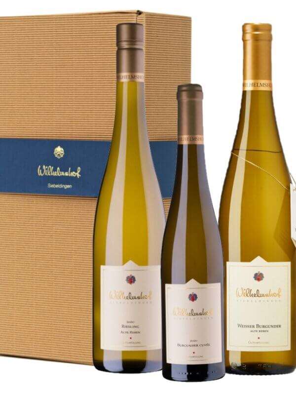 Alte-Reben-Weinpraesent-Weingut-Wilhelmshof-Siebeldingen-Pfalz