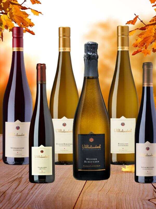 Herbst-Paket-Wein-Sekt-Bio-Weingut-Wilhelmshof-Siebeldingen-Pfalz