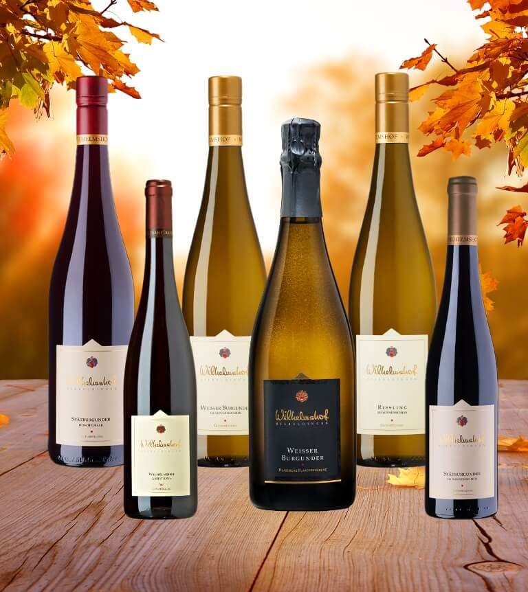 Herbst-Paket-Wein-Sekt-Bio-Weingut-Wilhelmshof-Siebeldingen-Pfalz