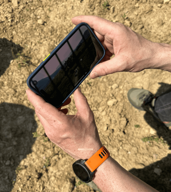 Weinwanderung per App
