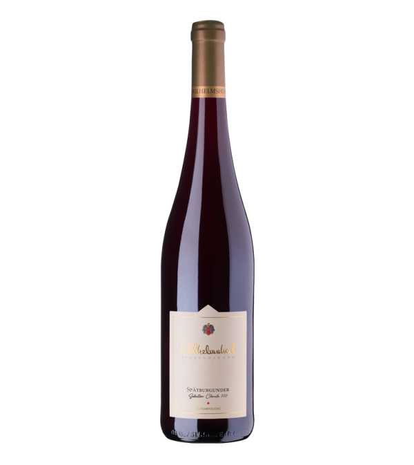 Spätburgunder Selection Clonale 777 2022