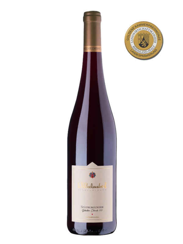 Spätburgunder Selection Clonale 777 2022