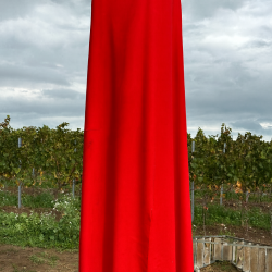 Wilhelmshof_Kunst im Sonnenschein-verhüllt