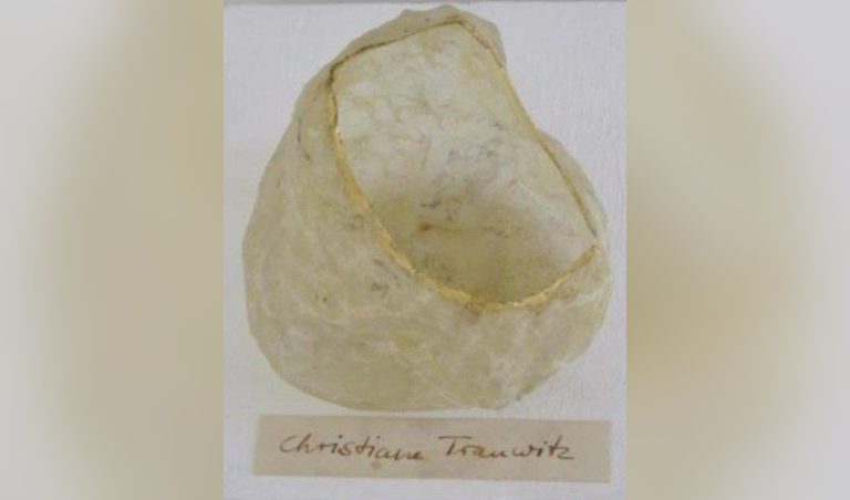 Christiane Trauwitz – Kulturlese Weingut Wilhelmshof