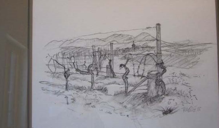 Jakob Baqué – Kulturlese Weingut Wilhelmshof