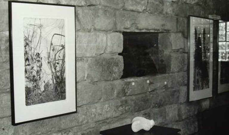 Volker Luley – Kulturlese Weingut Wilhelmshof